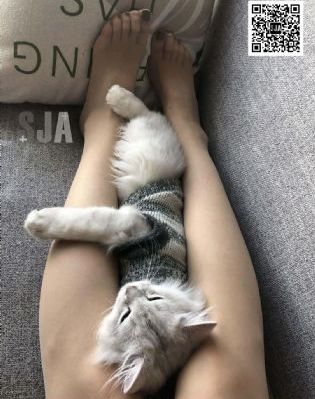 可以免费可以免费视频_BD韩语在线观看视频
